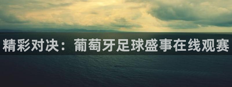 精彩对决：葡萄牙足球盛事在线观赛
