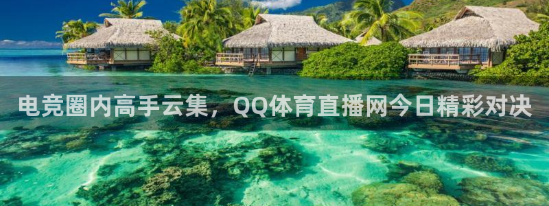 电竞圈内高手云集，QQ体育直播网今日精彩对决
