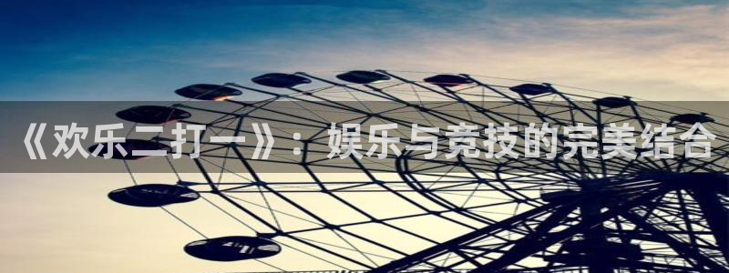 《欢乐二打一》：娱乐与竞技的完美结合