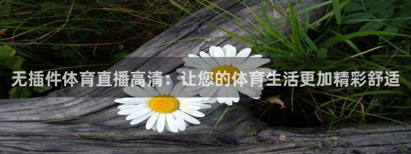 无插件体育直播高清：让您的体育生活更加精彩舒适