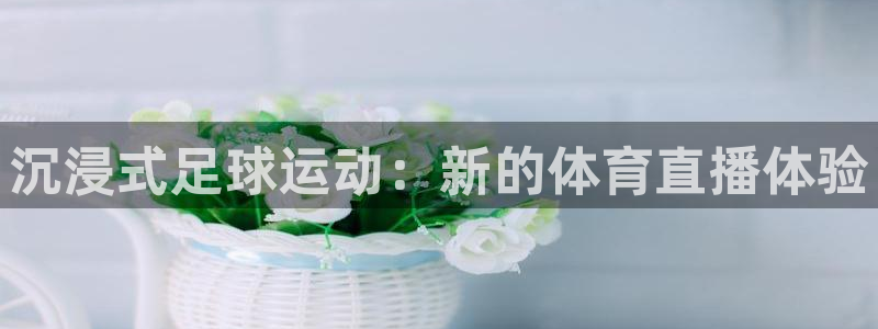 沉浸式足球运动：新的体育直播体验