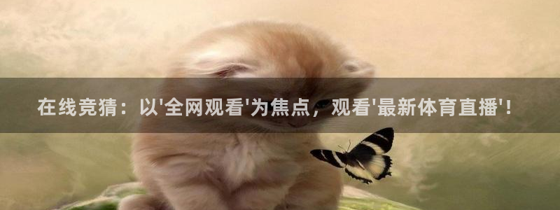 在线竞猜：以\'全网观看\'为焦点，观看\'最新体育直播\'！