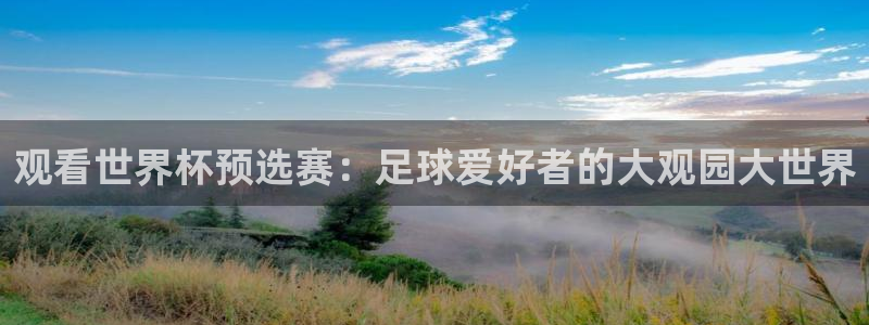 观看世界杯预选赛：足球爱好者的大观园大世界