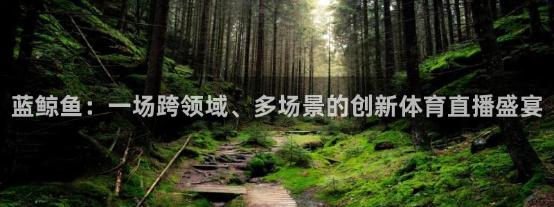 蓝鲸鱼：一场跨领域、多场景的创新体育直播盛宴